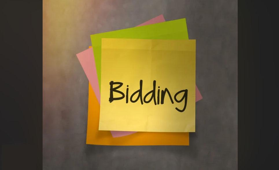 Google ads bidding strategies