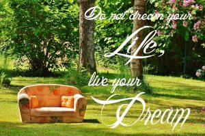 dream, life, life dream-840219.jpg