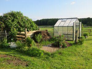 greenhouse, allotment garden, garden shed