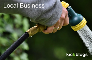 Set up a local sprinkler design and service business