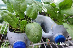 Niche Gardening website forsale