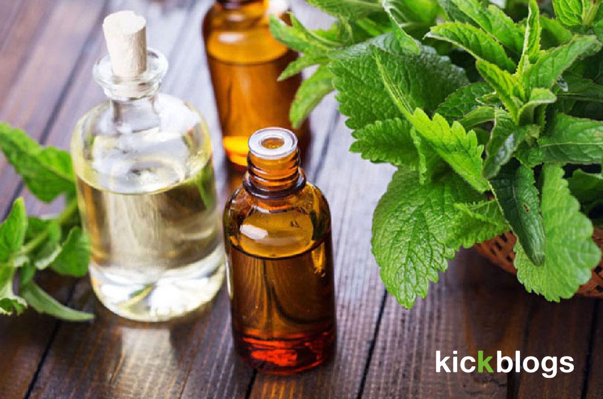Health and Beauty website specializing in herbal bodycare