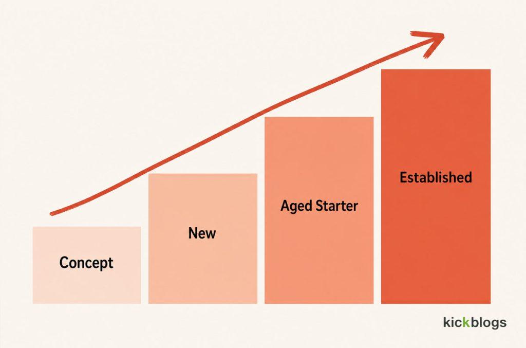 Four ascending tiers from Concept to Established, rising height showing growing continuity and history.